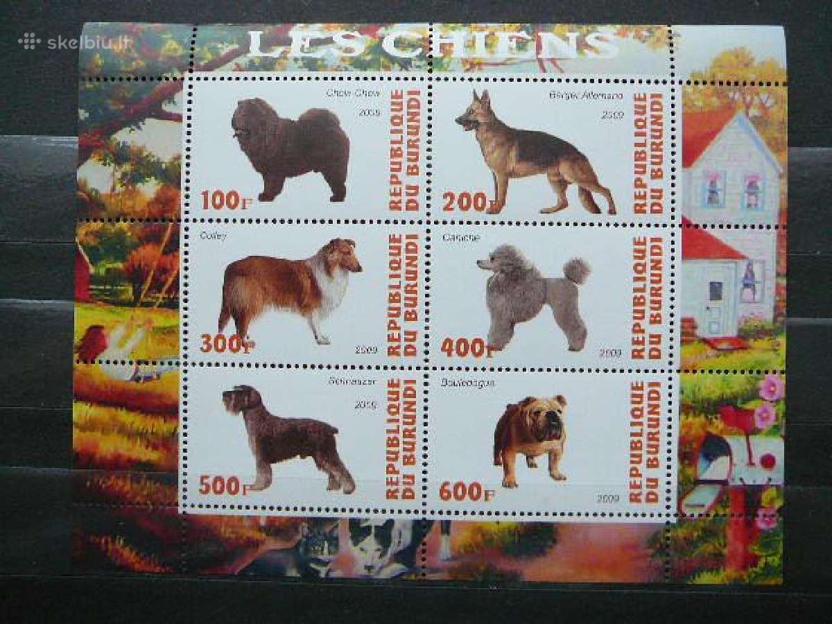 Sunys Burundis 2009 svarus g083a