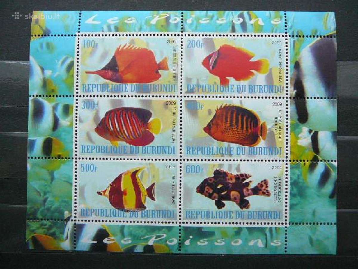 Zuvys Burundis 2009 svarus g092a