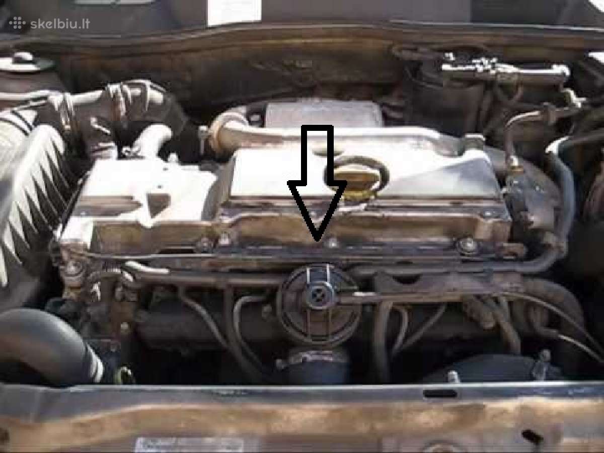 Adblue Dpf Egr programavimas, Dūmingumo matavimas - nuotraukos Nr. 9