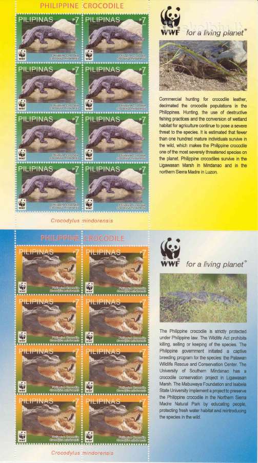 Filipinai 2011. Wwf-krokodilai. - nuotraukos Nr. 3