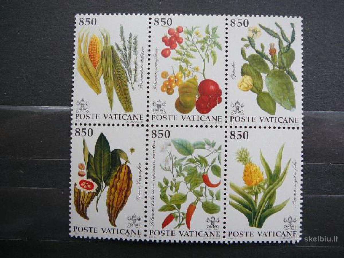 Vaisiai Vatikanas svarus mnh vt925
