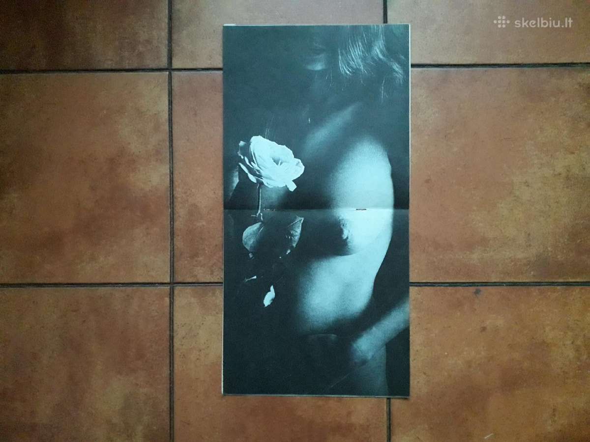 Panevėžio fotografų darbai 1991metai