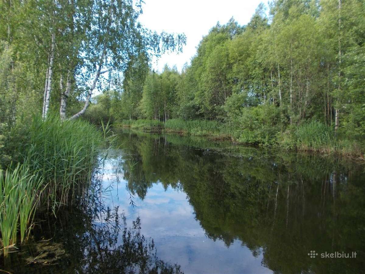 Pirtis gamtoje - nuotraukos Nr. 8