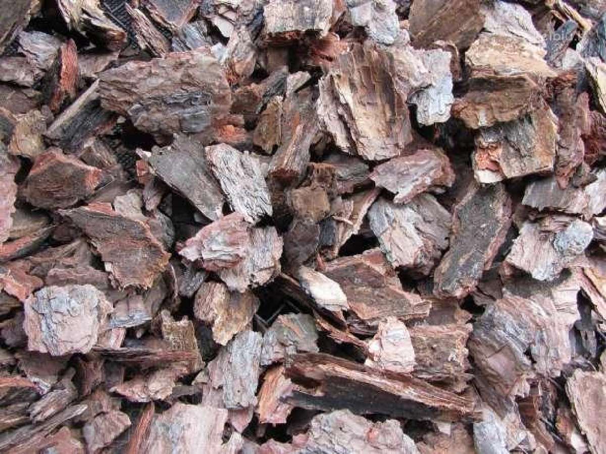 Natūrali pušu žievė (mulčias) 50 litrų nuo 1,25 eu - Skelbiu.lt
