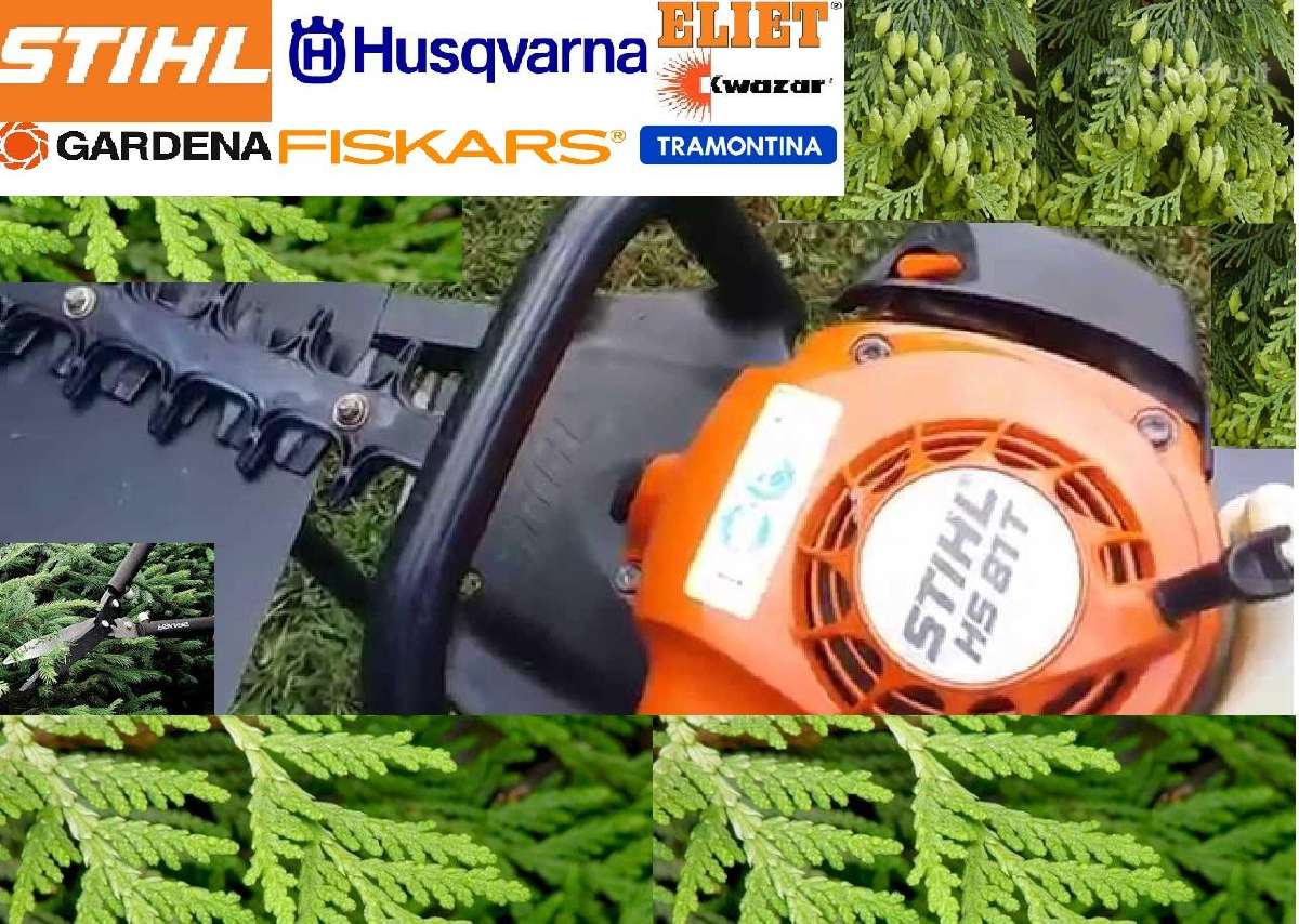 Sveika veja - tvarkinga aplinka. Sodo priežiūra - nuotraukos Nr. 2
