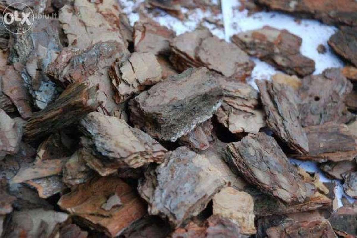 Natūrali pušu žievė (mulčias) ir kt.sodo problemos - nuotraukos Nr. 8