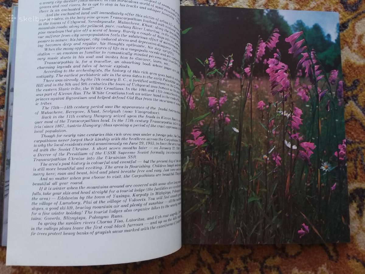 Fotoalbumas Enchanred Land dovanai kolekcijai - nuotraukos Nr. 4