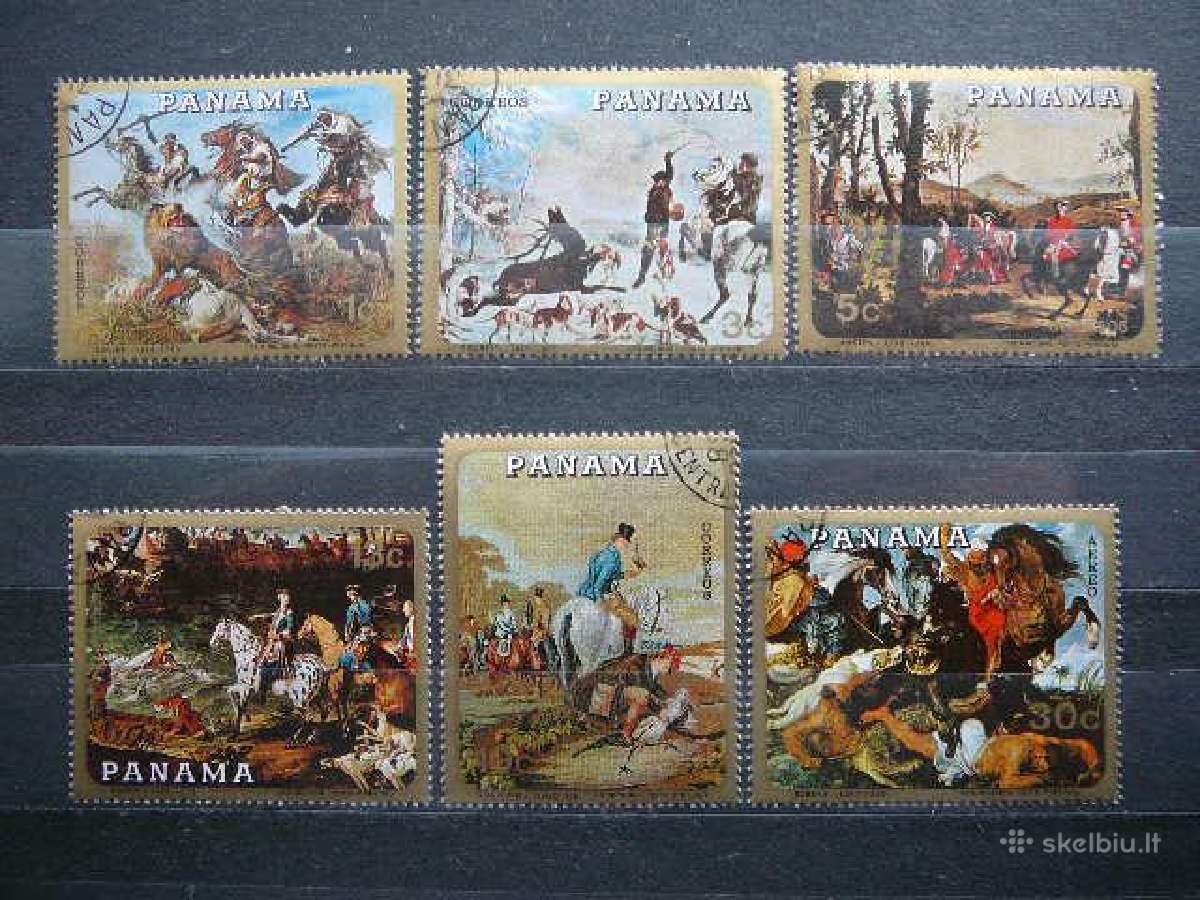 Arkliai Panama antsp. pnm354