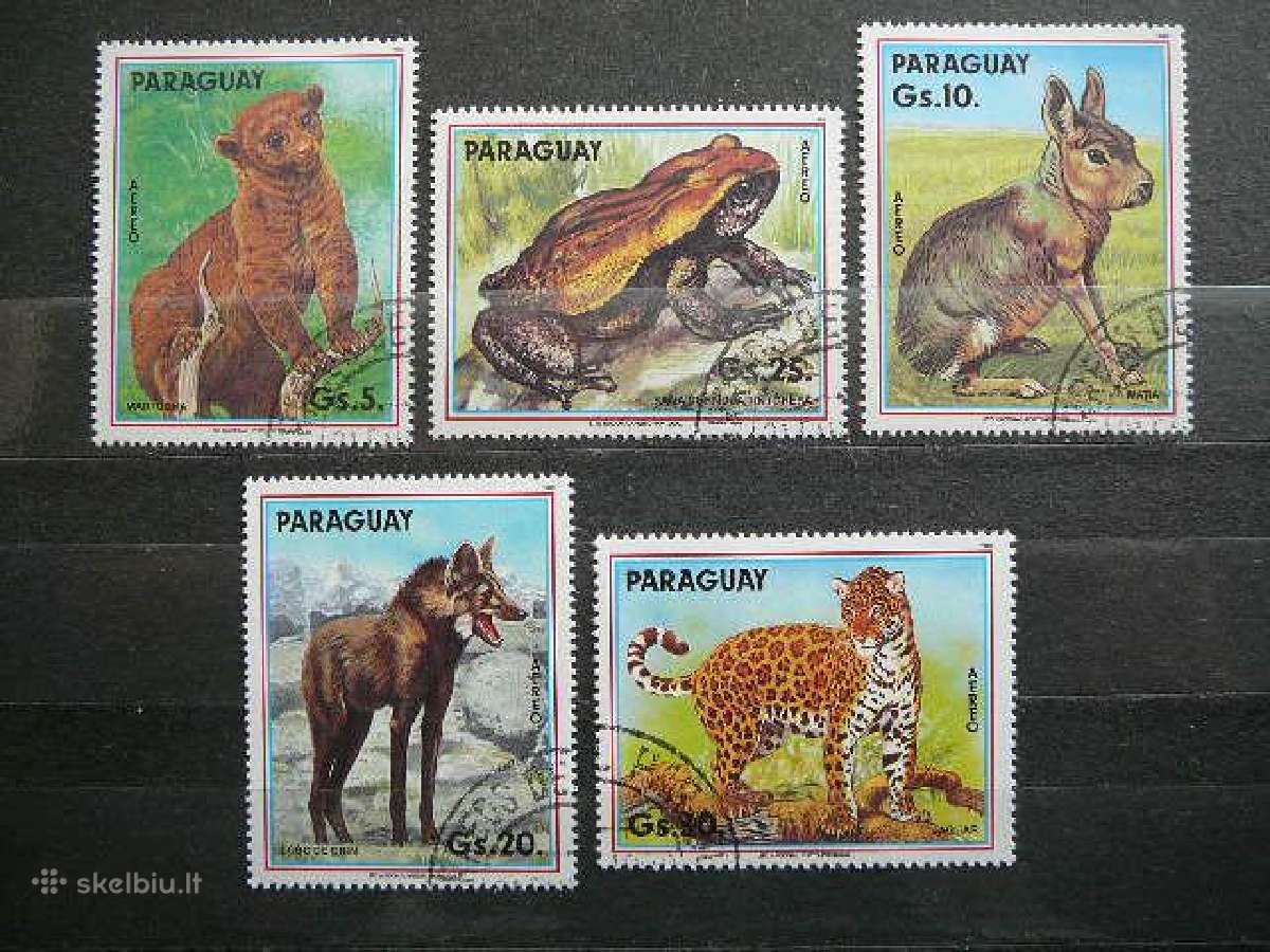 Gyvunai Paragvajus antsp. alb355