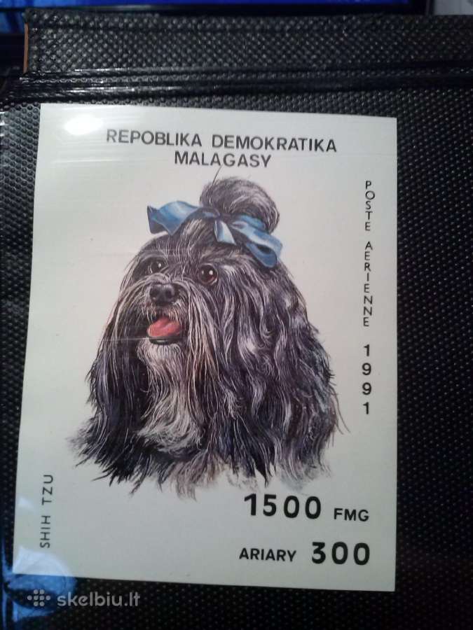 Pasto zenkluka ,blokai.