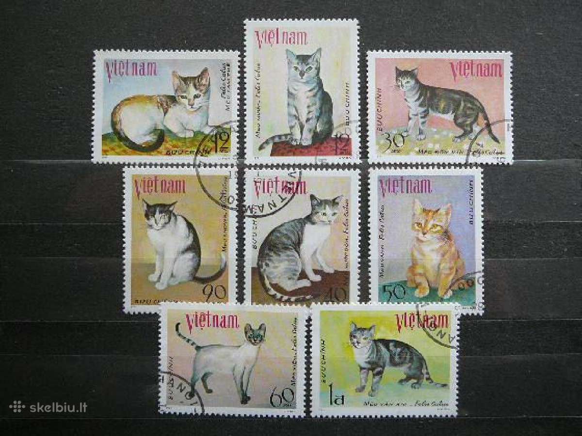 Kates Vietnamas antsp. lp08