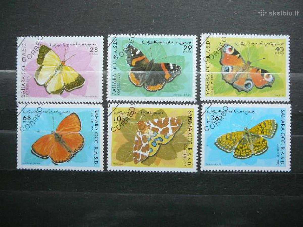 Drugeliai Sahara antsp. lp29