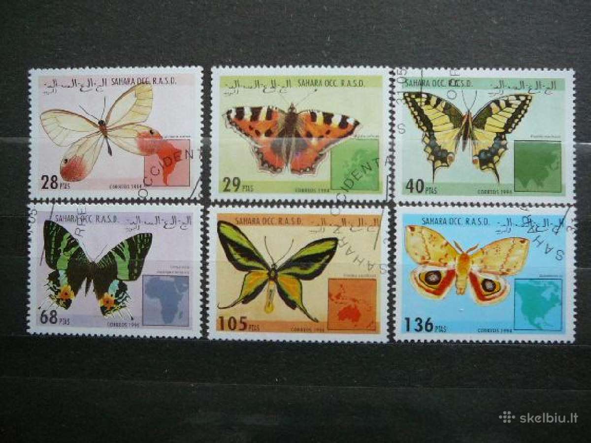 Drugeliai Sahara antsp. lp35