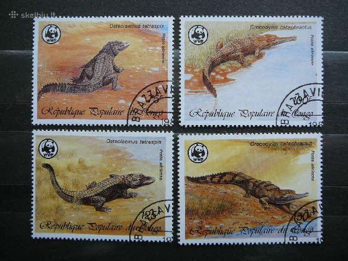 Krokodilai Kongas 1988 antsp. kng54
