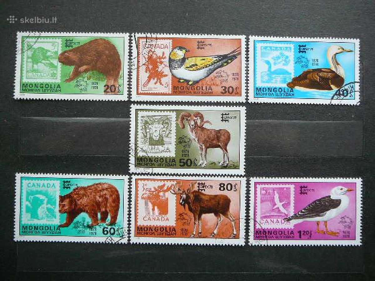Fauna Mongolija antsp. lp74