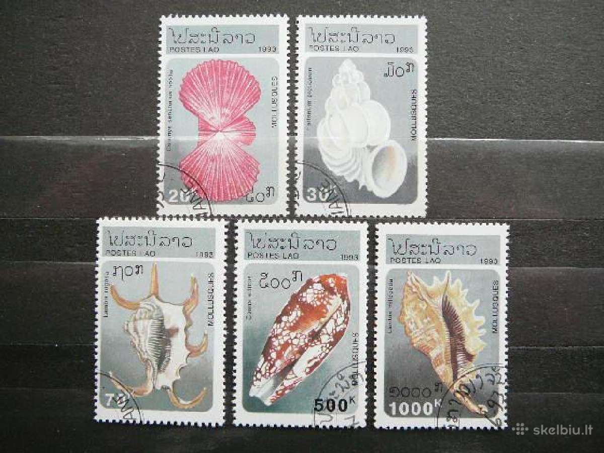 Kriaukles Laosas antsp. lp79