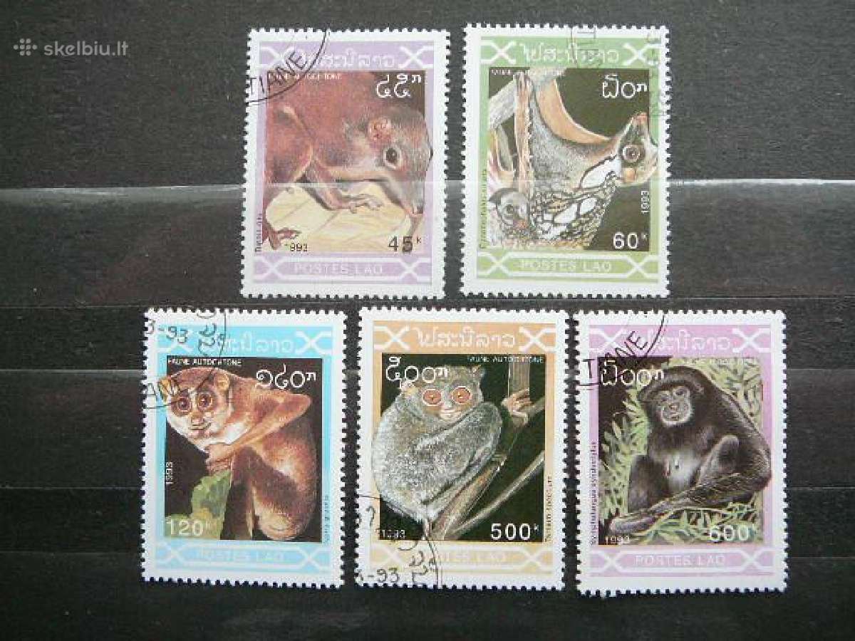 Fauna Laosas antsp. lp82