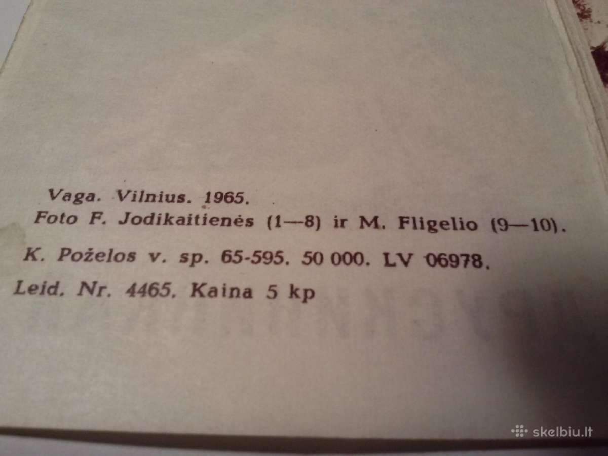 Atvirutes.druskininkai 1965m+,1974m - nuotraukos Nr. 3