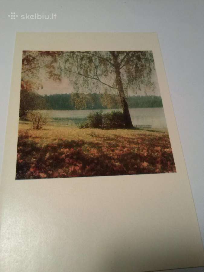 Atvirutes.druskininkai 1965m+,1974m - nuotraukos Nr. 14