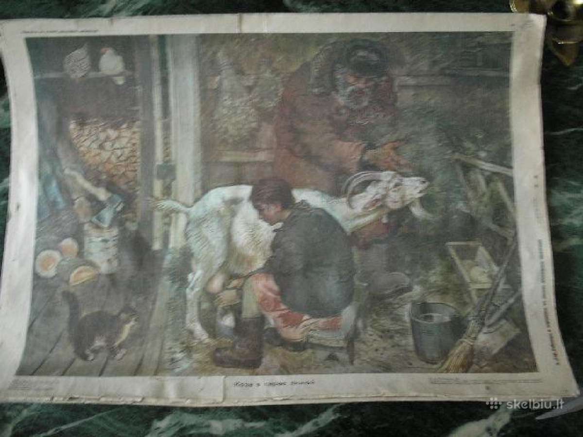 Plakatas