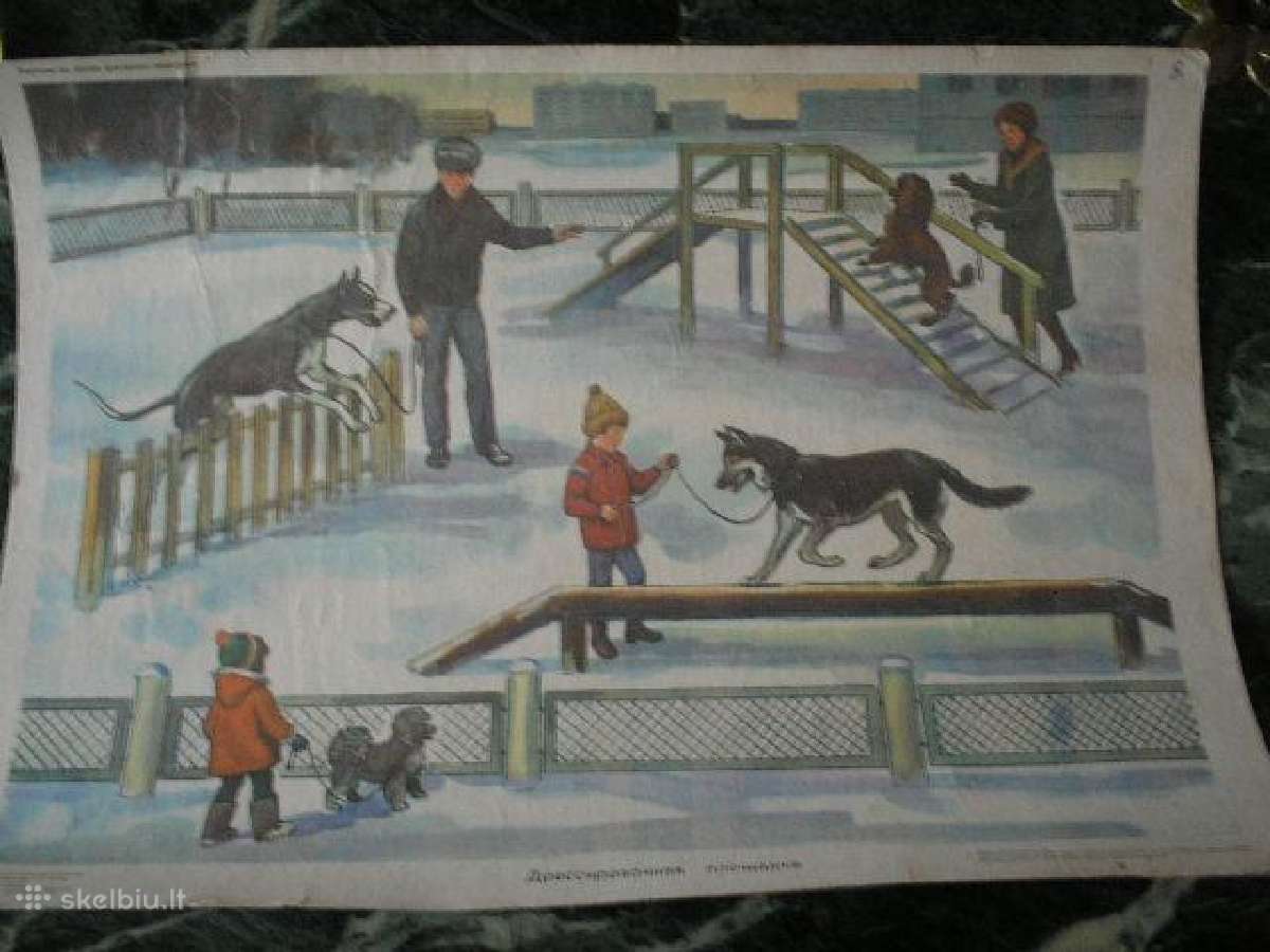 Plakatas