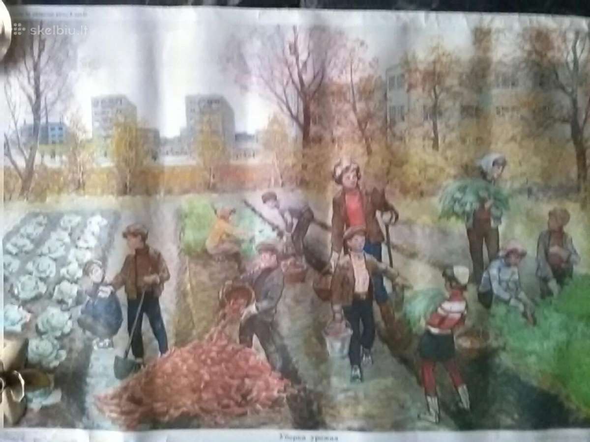 Plakatas