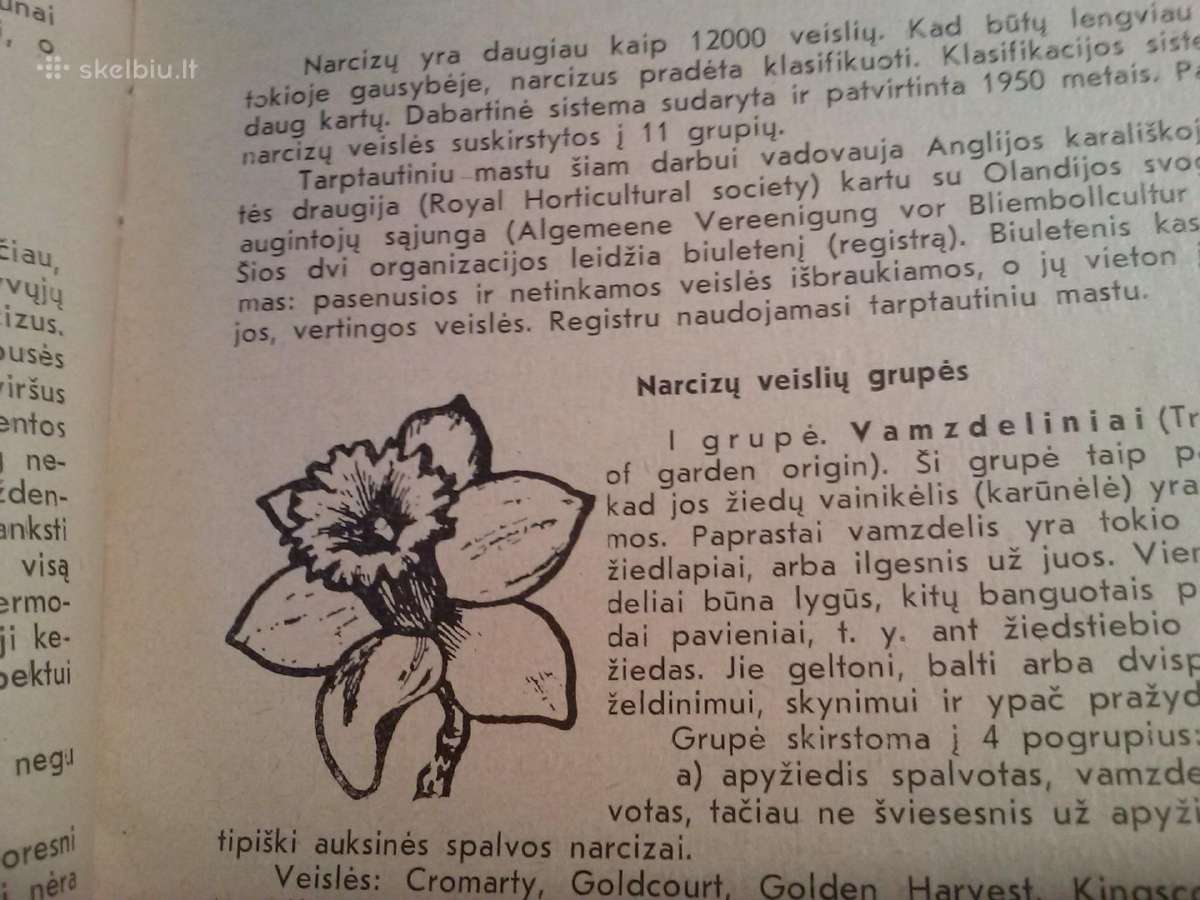 Knyga.1970-71m - nuotraukos Nr. 5