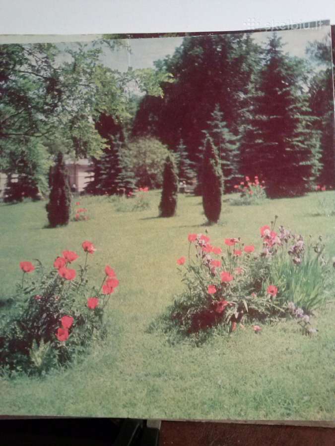 Knyga.druskininkai 1971m. - nuotraukos Nr. 7