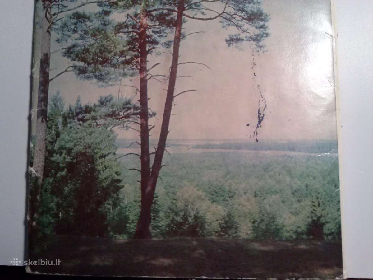 Knyga.druskininkai 1971m. - nuotraukos Nr. 16