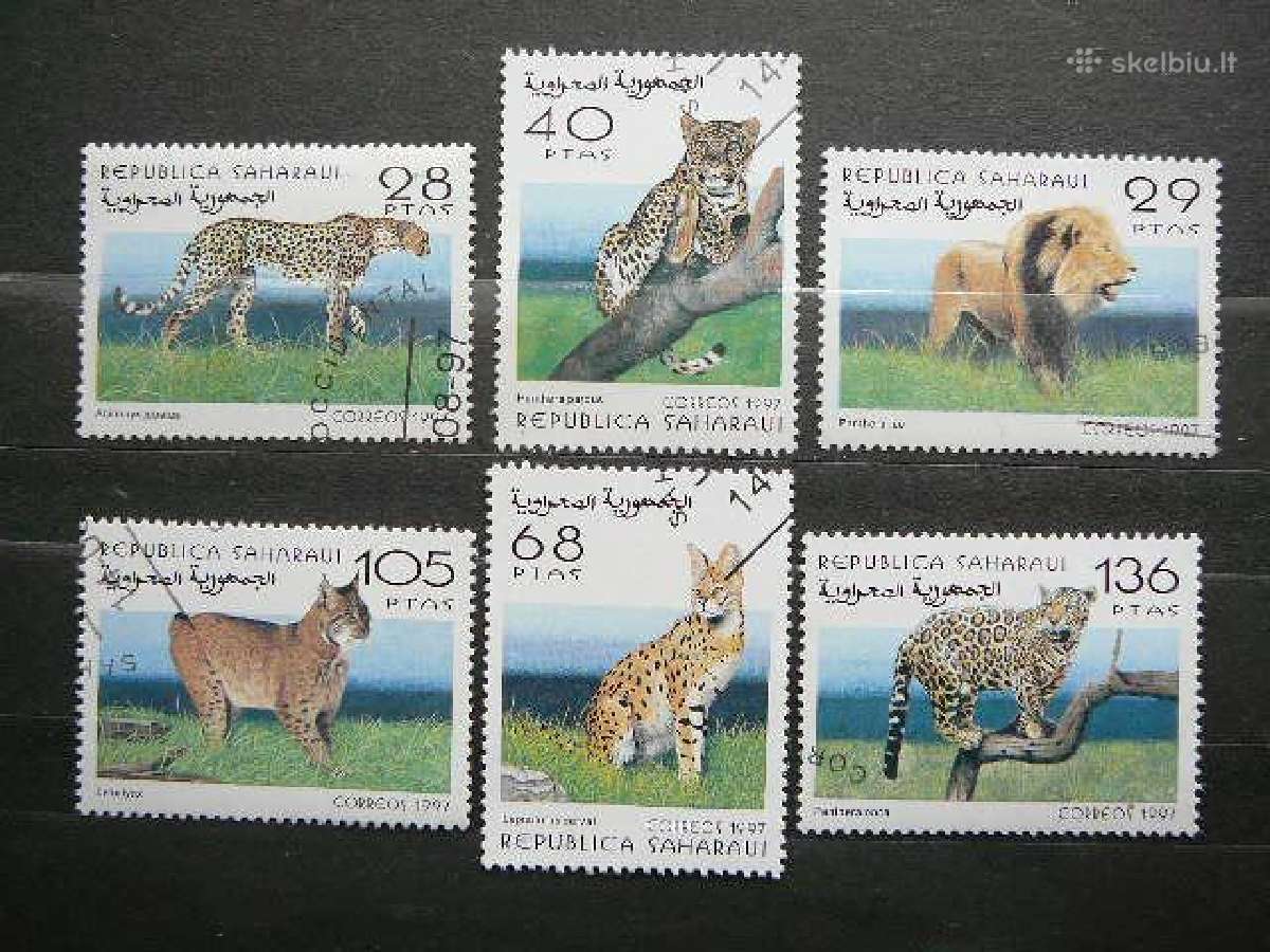 Kates laukines Sahara antsp. lp184