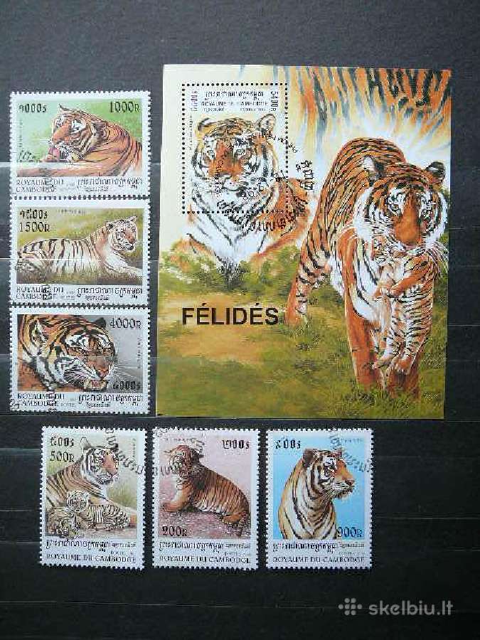 Tigrai Laukines kates Kambodza 1998 antsp. cam305