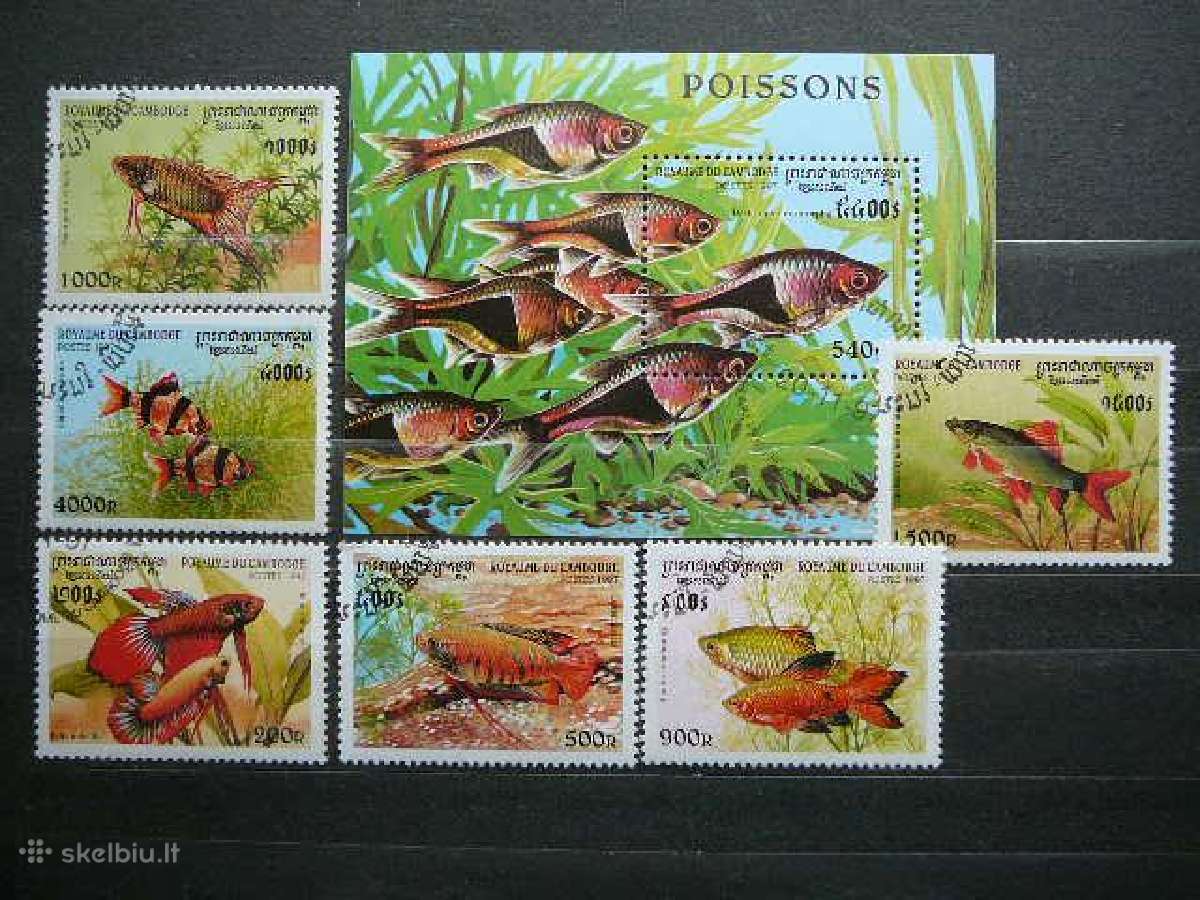 Zuvys Kambodza 1997 antsp. kmb310