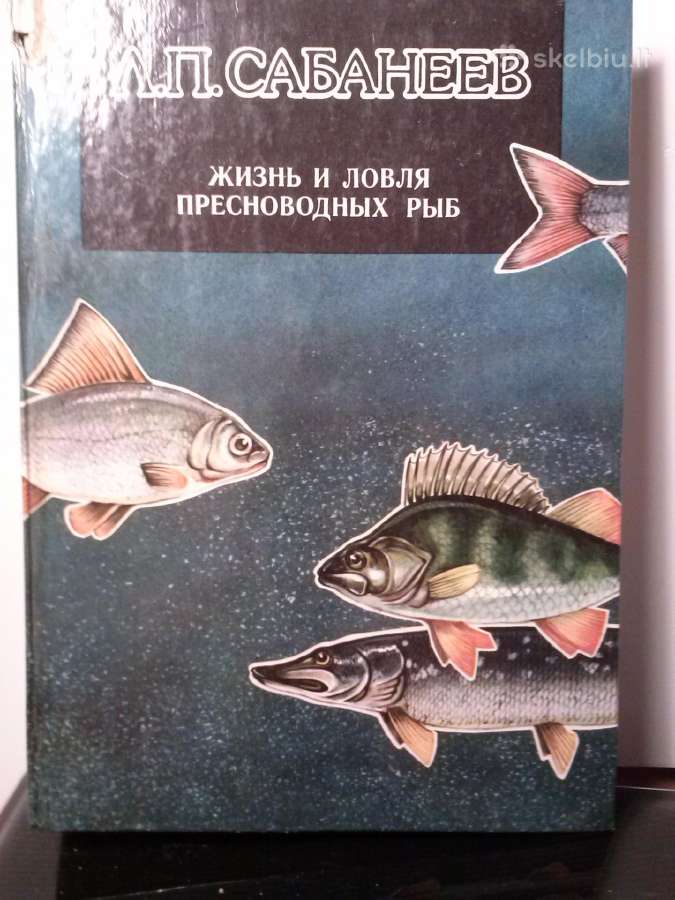 Knyga.