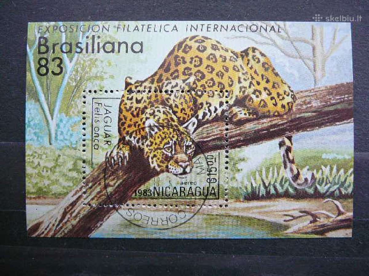Jaguarai Kates laukines Nikaragva 1983 nkr840