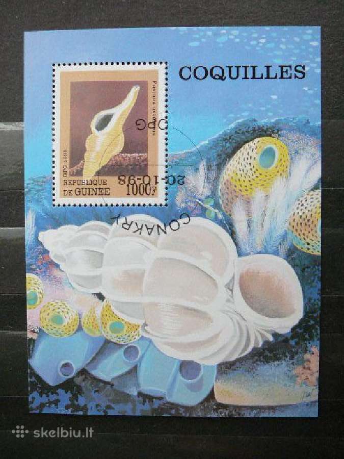 Kriaukles Gvineja 1998 antsp. blk847