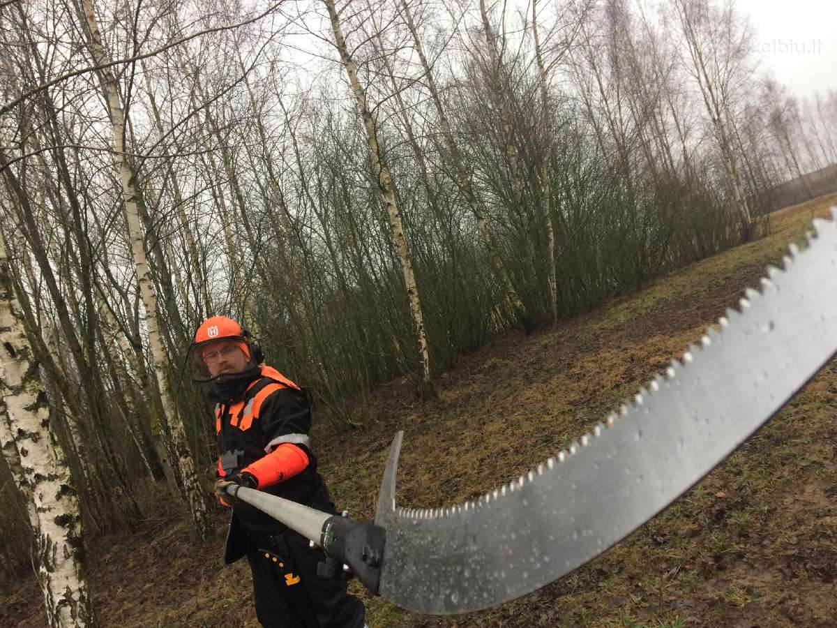 Vaismedžių genėjimas ir formavimas. - nuotraukos Nr. 18