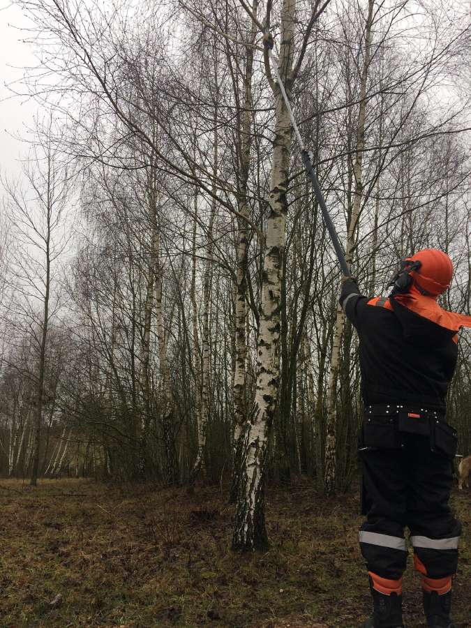 Vaismedžių genėjimas ir formavimas. - nuotraukos Nr. 20