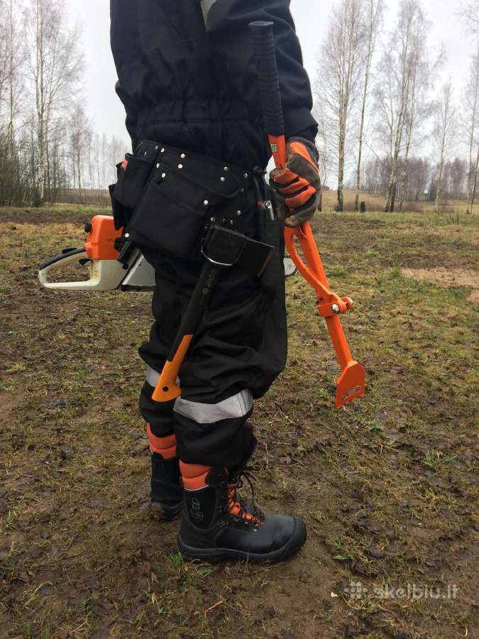 Vaismedžių genėjimas ir formavimas. - nuotraukos Nr. 22