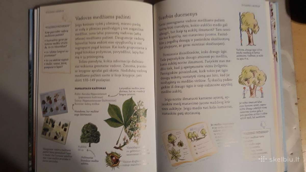 Pažink gamtą - nuotraukos Nr. 3