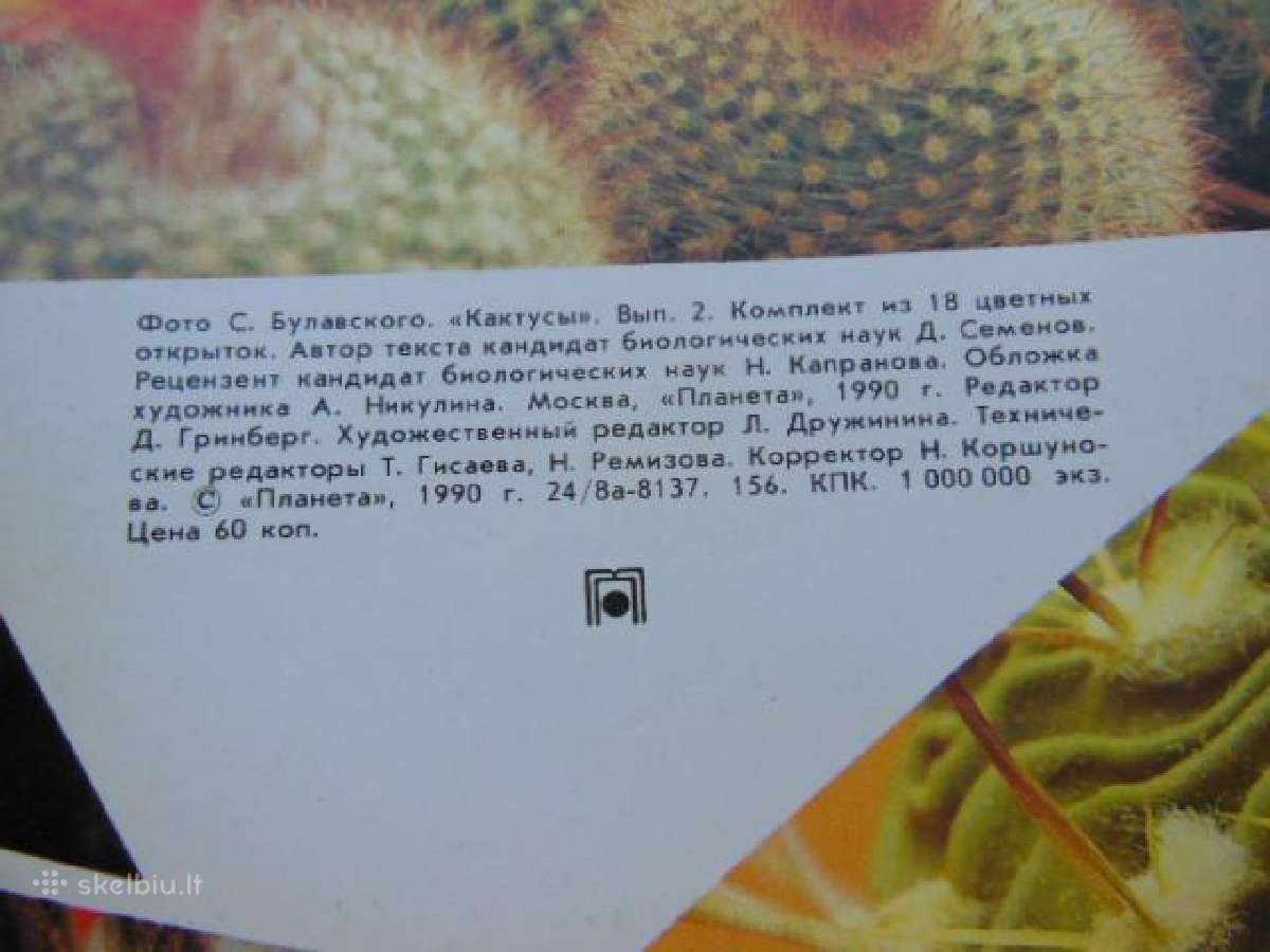 Atviručių komplektas "kaktusai" - nuotraukos Nr. 2