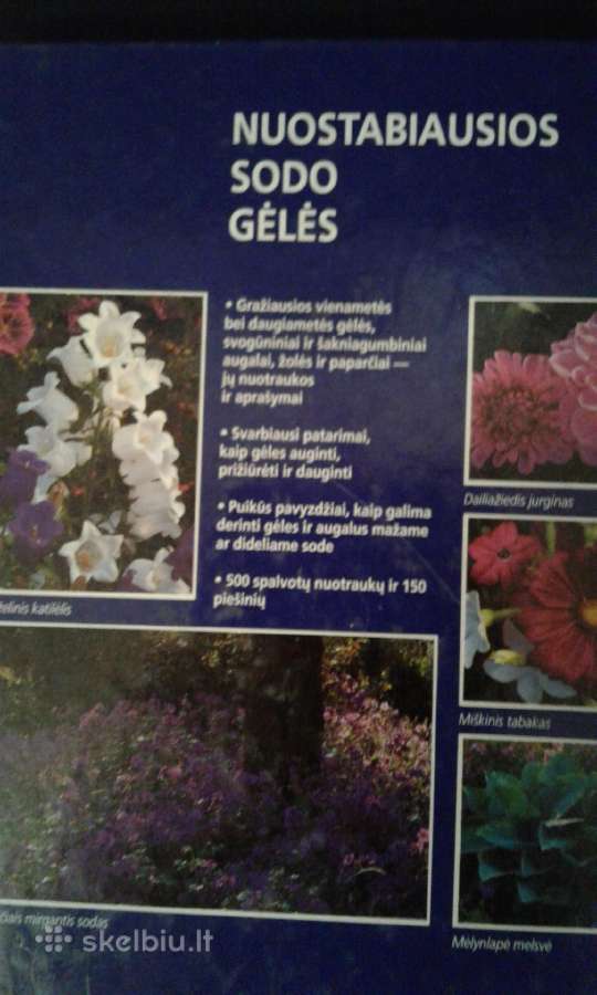 Albumai apie sodo,kambarines gėles,krūmus - nuotraukos Nr. 2