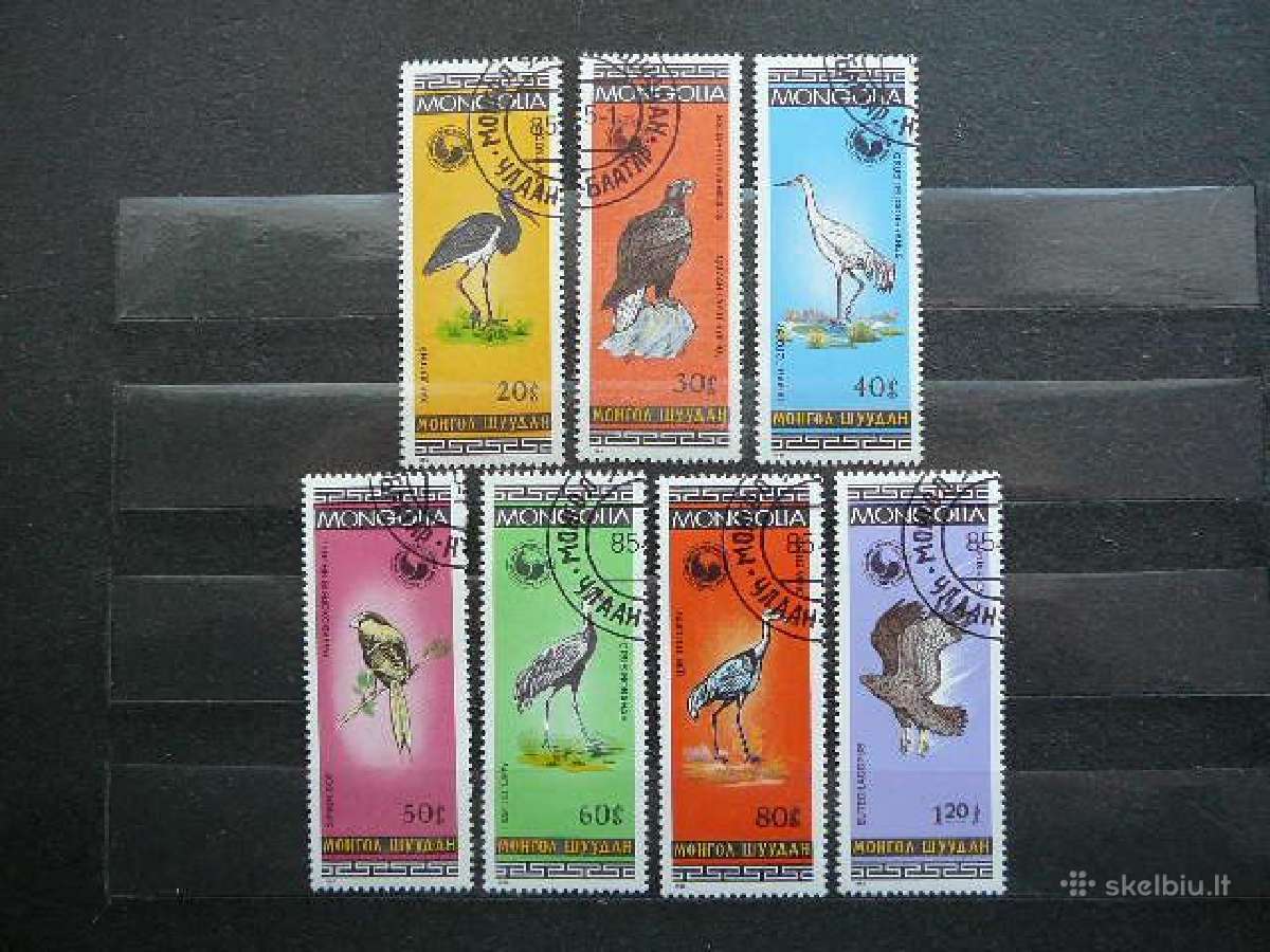 Pauksciai Mongolija antsp. mng375