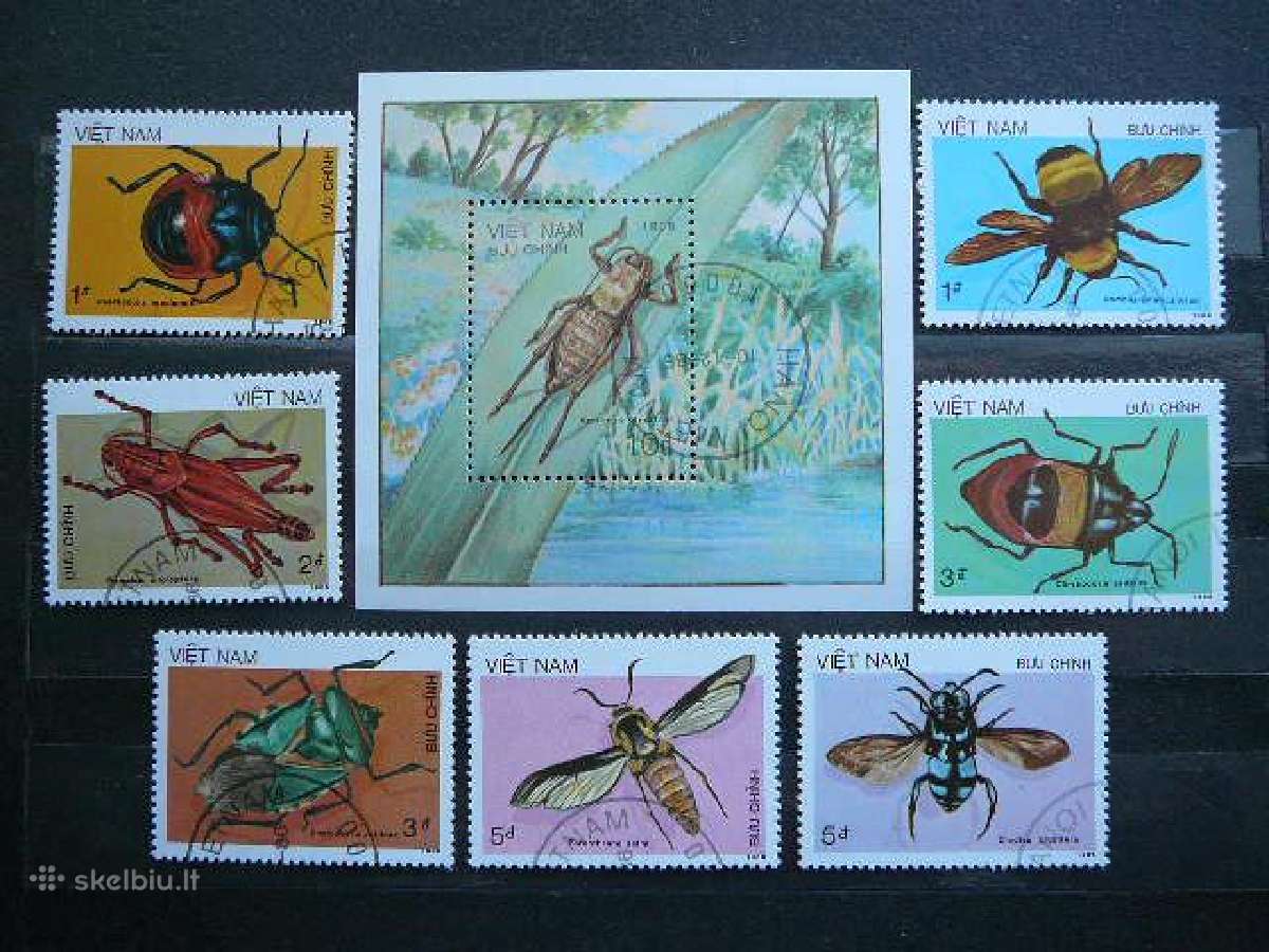 Vabalai Vietnamas antsp. alb383