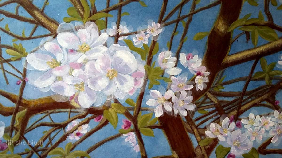 Apdaila, sieninė, tapyba, dekoras, paveikslai - nuotraukos Nr. 16