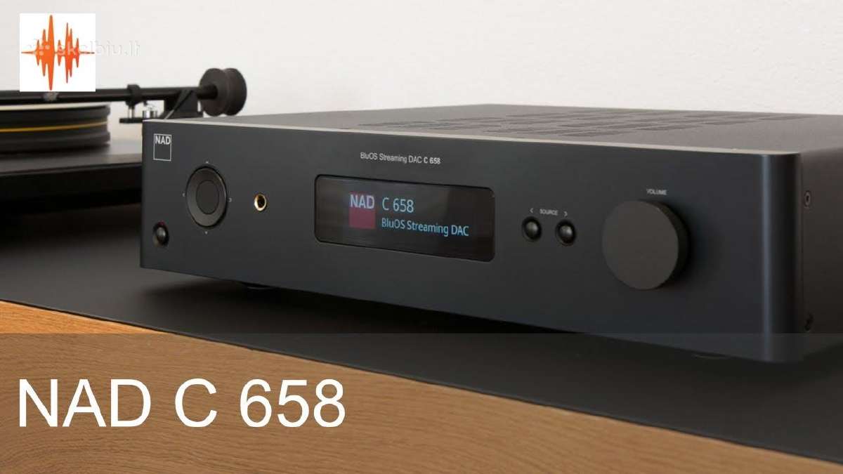 Quad Artera monoblokai 300w Power Amplifier - nuotraukos Nr. 12