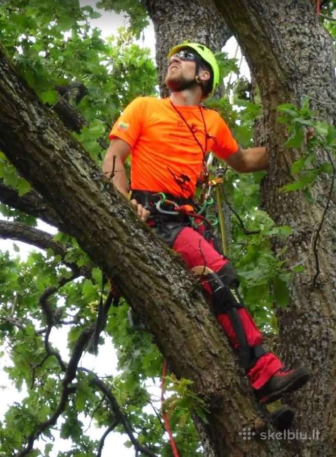 Arboristų paslaugos, medžių pjovimas, genėjimas - nuotraukos Nr. 8