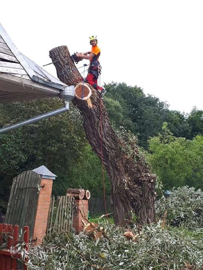 Arboristų paslaugos, medžių pjovimas, genėjimas - nuotraukos Nr. 18