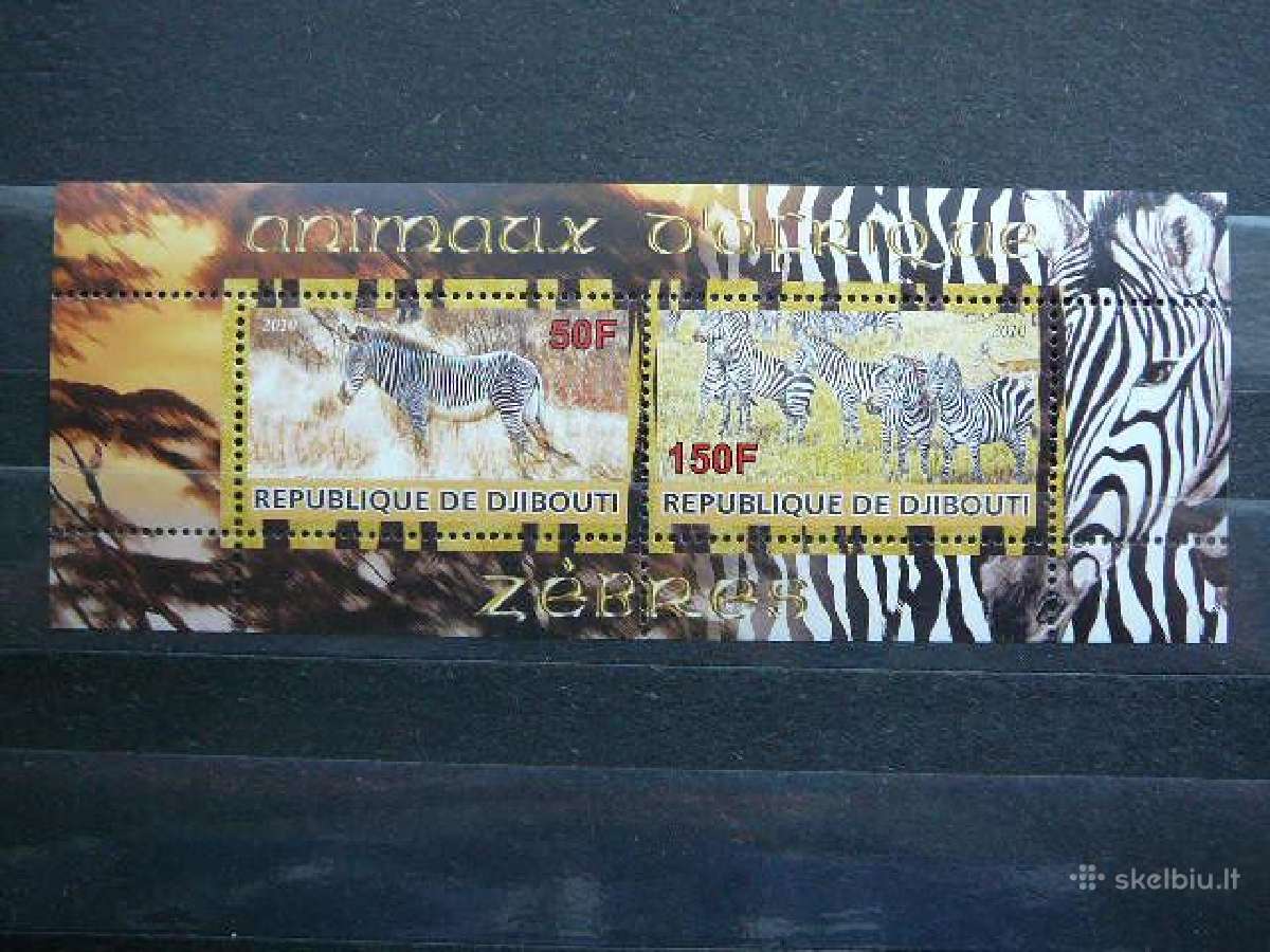 Zebrai Dzibutis 2010 svarus s795s