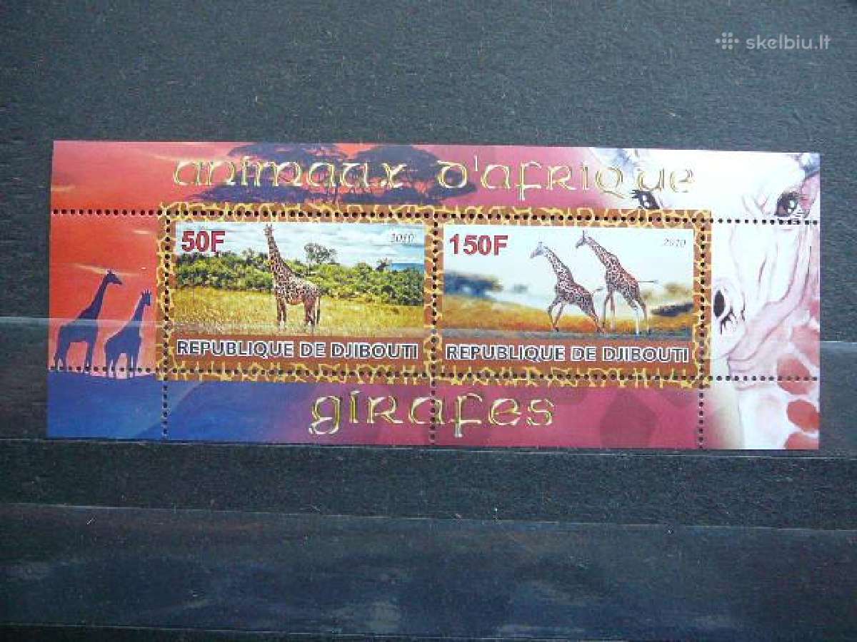 Zirafos Dzibutis 2010 svarus s797s