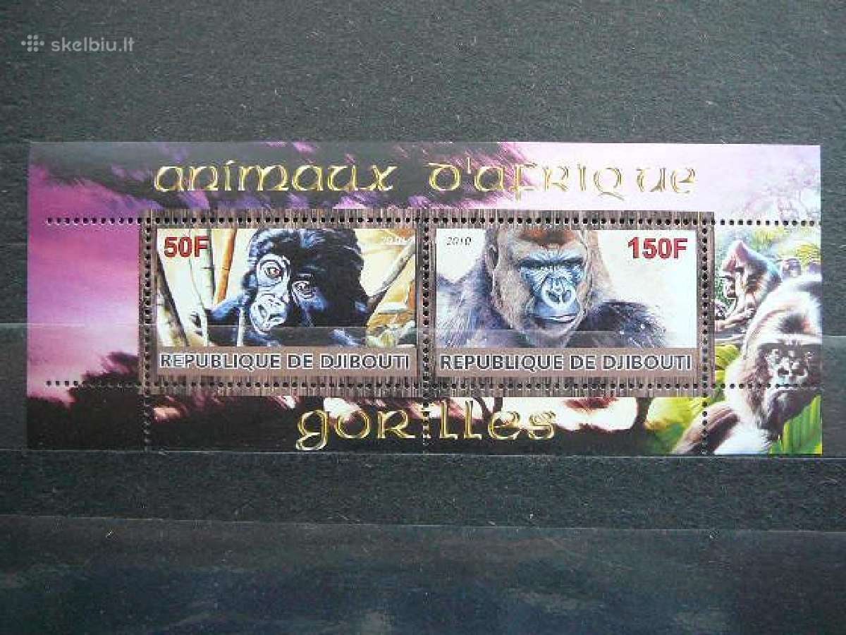 Bezdziones Dzibutis 2010 svarus s799s